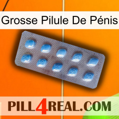 Grosse Pilule De Pénis viagra3